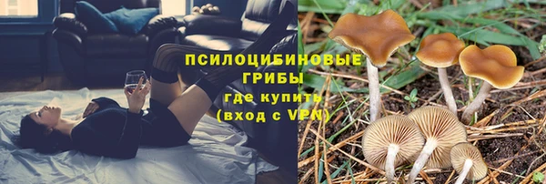 мескалин Арсеньев